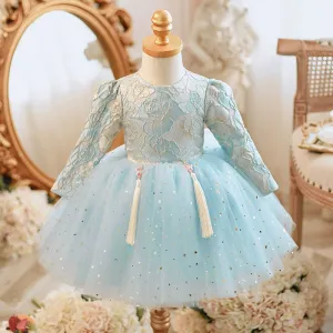 Princess Round Tea Length Lace Flower Girl Dress in Blue